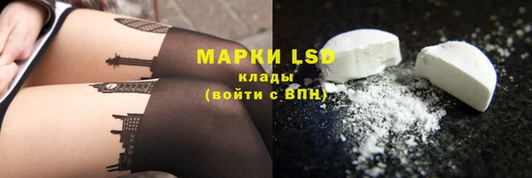 индика Баксан