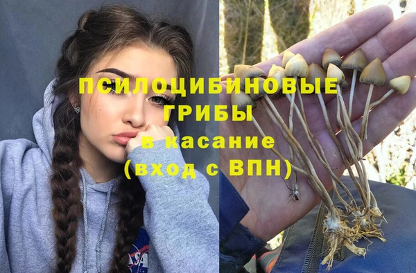 прущие крисы Балабаново