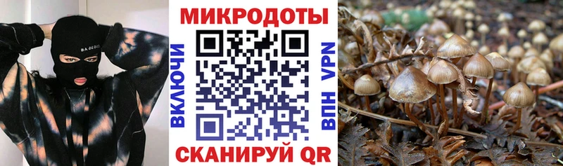 Галлюциногенные грибы прущие грибы сколько стоит blacksprut зеркало Новопавловск